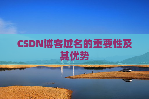 CSDN博客域名的重要性及其优势
